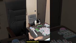 Smart dogs playing games with family shorts [upl. by Rolo]