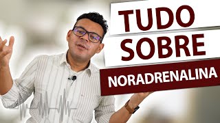 TUDO SOBRE NORADRENALINA  em 9 minutos [upl. by Tumer670]