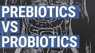 Prebiotics vs Probiotics [upl. by Blain]