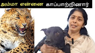 எப்படியோ தப்பிச்சிட்டேன்   Street Dogs in Tamil [upl. by Natsirk260]