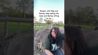 Bloopers with Barney shorts onehappyassfarm farmlife donkey funnyanimals bloopers [upl. by Relyhs]