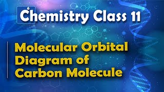 Molecular Orbital Diagram of Carbon Molecule  Nature of Chemical Bond  Chemistry Class 11 [upl. by Yroc]