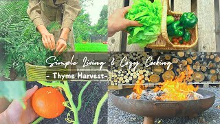 Autumn Prep amp Cozy Country Life Harvesting Thyme Grilled Salmon amp Fresh Honey [upl. by Nollid]