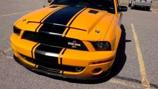 Shelby GT500 Super Snake 40th Anniversary Edition [upl. by Pollie285]