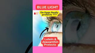 Antioxidant in eggs  Lutein and Zeaxanthin  ande me antioxidants  Egg benefits [upl. by Keram536]