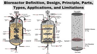 Bioreactors  Design Principle Parts Types Applications amp Limitations  Biotechnology Courses [upl. by Araes716]