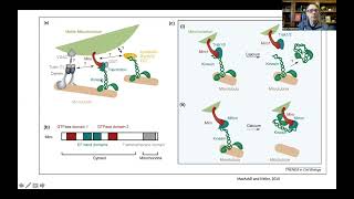 Bioenergetics and Brain Health 2 Mitochondrial Dynamics Biogenesis Disposal and Signaling [upl. by Ced]