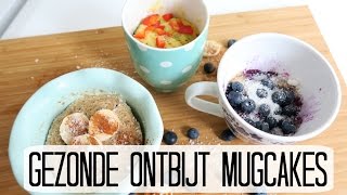 Recept 3 Gezonde Snelle Ontbijt Mugcakes [upl. by Desmond]