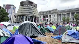 New Zealand protesters refuse to disperse [upl. by Rovert]