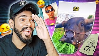 හරියට හුරතල් වෙන්නෙ මෙහෙමයි😻  Gazta react [upl. by Anuaf107]