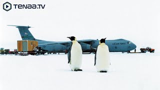 Desert Without Sand  1960s Military Research in Antarctica [upl. by Legnaleugim859]