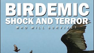 Birdemic shock and terror review trash movie [upl. by Harrington247]