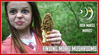 Finding Morel Mushrooms on Michigan Public Land [upl. by Silevi]