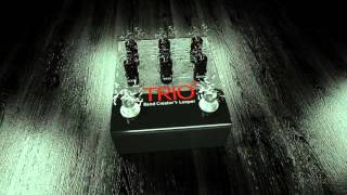 TRIO  Band creator  Looper by DIGITECH  new METAL sample [upl. by Gnues519]