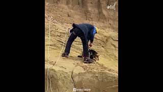 Dog stranded on a dangerous cliffside gets rescued 🥺 [upl. by Zelig932]