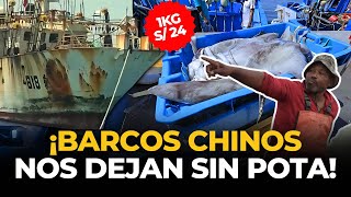 BUQUES CHINOS realizan quotPESCA DE POTA ILEGALquot en el MAR PERUANO  El Comercio [upl. by Niras]