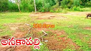 Open Site for Sale  అనకాపల్లి  Visakhapatnam  Andhra Pradesh  India [upl. by Arianna]