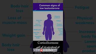 High Cortisol  Low testosterone  Stress shortsvideo shorts shortsfeed [upl. by Lednyk]