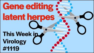 TWiV 1119 Gene editing latent herpes [upl. by Akinehs42]