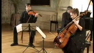 Mendelssohn Piano Trio No1 in D minor Op49  Part 13 [upl. by Atekihs522]