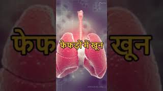 Elaichi Khane Ke Fayde explore short facts viralvideo [upl. by Konstantine]