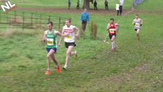 National Lindsays XC Relays 2016  Men [upl. by Eehsar]