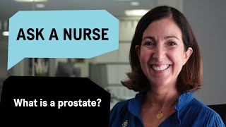 Ask a Nurse What is a prostate [upl. by Yelak]