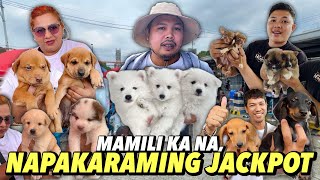 JACKPOT HALOS LAHAT  GROTTO PET MARKET UPDATE  OCTOBER 27 2024 [upl. by Maris]