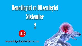 DENETLEYİCİ ve DÜZENLEYİCİ SİSTEMLER2  Nöronun Yapısı [upl. by Naaman479]