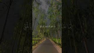 💓Beautiful voice💓 qari Abd ul Rahman💓💓💓 [upl. by Mera]