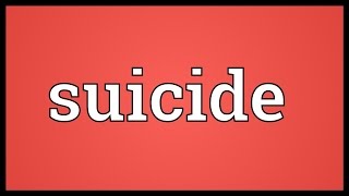 Suicide Meaning [upl. by Hoffer814]