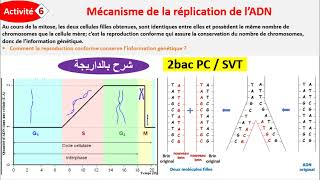 Mécanisme de la réplication de lADN 2BAC PCSVT BIOF شرح بالداريجة [upl. by Cacka]