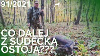 SUDECKA OSTOJA 912021 Polowanie na jelenie Deer hunting Wild jagen [upl. by Garald]