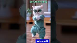 Cute cat dance [upl. by Nottus]