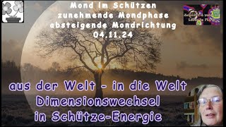 SchützeEnergie  Dimensionswechsel ganz privat  aus der einen Welt in die andere und zurück [upl. by Auj]