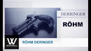 Röhm Derringer Schreckschusswaffe 9mm RevKnall [upl. by Odessa]