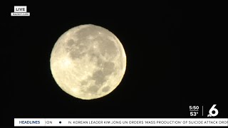 MANNYCAM BEAVER MOON [upl. by Kurtz202]