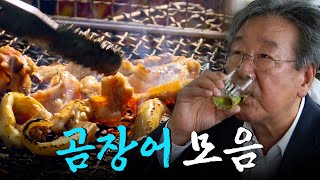 소주 한 잔의 추억이 서린 부산의 또 다른 소울푸드 곰장어 모음집 Korean Food｜KBS 방송 [upl. by Akinor]