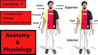 Anatomy and Physiology  Introduction  Anatomical Planes  Directional Terms  Hindi [upl. by Eyssej]