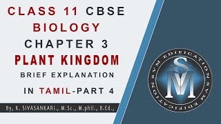 CLASS 11 CBSE BIOLOGY CHAPTER 3 PLANT KINGDOM PART 4  EXPLANATION IN TAMIL [upl. by Kaitlyn]