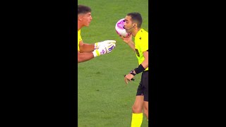 VAR NÃO CHAMOU JOGADORES DO INTER PEDEM PÊNALTI  INTERNACIONAL X FLAMENGO  shorts  geglobo [upl. by Ariam]