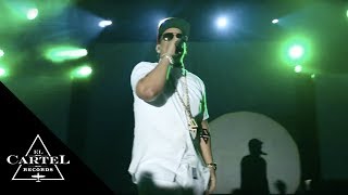 Daddy Yankee  Zurich 2014 Live [upl. by Jaime]