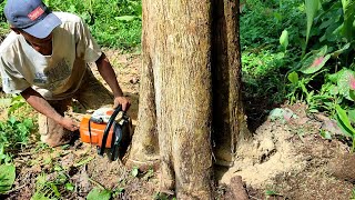 Chainsaw Carving for Beginners Techniques amp Tips [upl. by Trever]