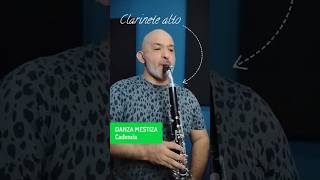 Cadenza for alto clarinet fragment Marco Mazzini [upl. by Eintroc560]