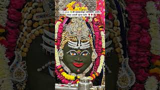 श्री महाकाल संध्या आरती दर्शन ujjain ujjainmahakal livedarshan aarti shortsfeed [upl. by Stoffel16]