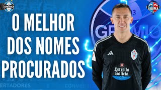 🔵⚫️ Grêmio Marchesín e o estilo pirotécnico de defender  Rápido e malandro  Veja como joga [upl. by Ennavoj]