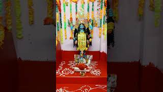 Bari Kali Puja 🙏🏻🙏🏻Short Video Shorts  Viral Video [upl. by Eehc]