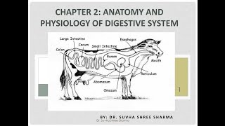 Chapter 2 Anatomy and Physiology of Digestive System of farm animals anatomy veterinary [upl. by Cristi928]