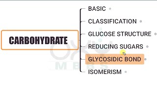 BIOCHEMISTRY Carbohydrate Part 5  Glycosidic Bond [upl. by Quickel]