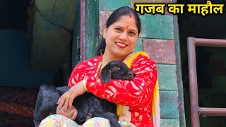 गाँव के लोगों ने की ऐसी खातिरदारी 🤗  Pahadi Lifestyle Vlog  Priyanka Yogi Tiwari [upl. by Screens]